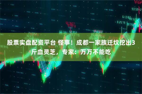 股票实盘配资平台 怪事！成都一家族迁坟挖出3斤血灵芝，专家：万万不能吃