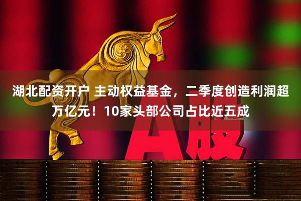 湖北配资开户 主动权益基金,二季度创造利润超万亿元!10家头部公司占比近五成